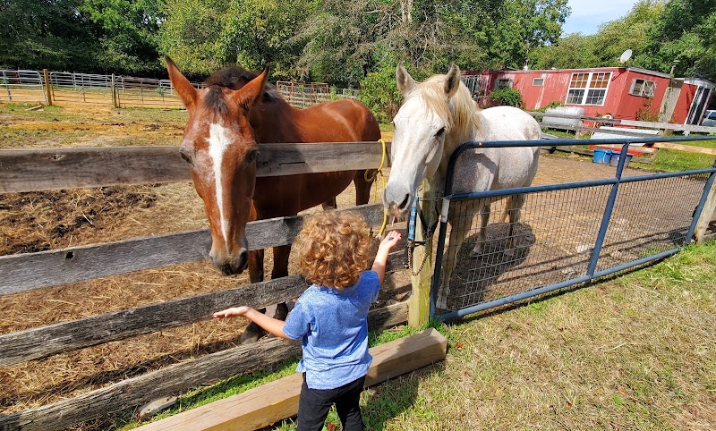 10 Lil' Acre Rescued Animal Farm