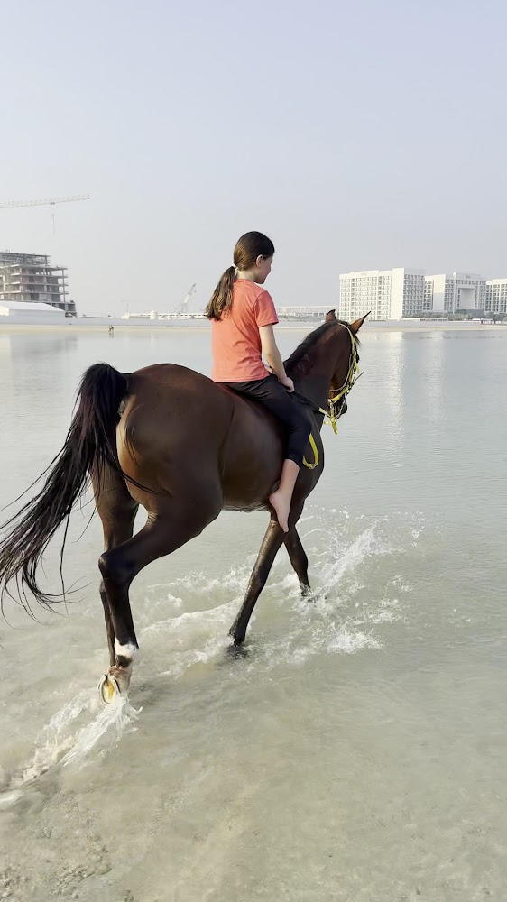 Aayan Equestrian Club photo 3