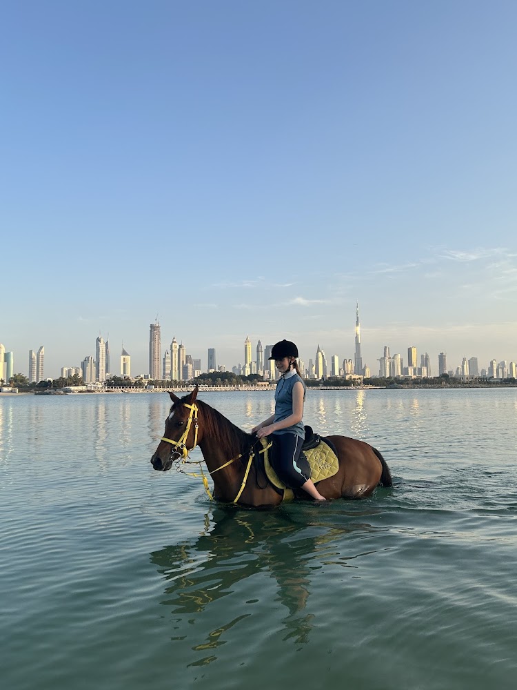 Aayan Equestrian Club photo 4