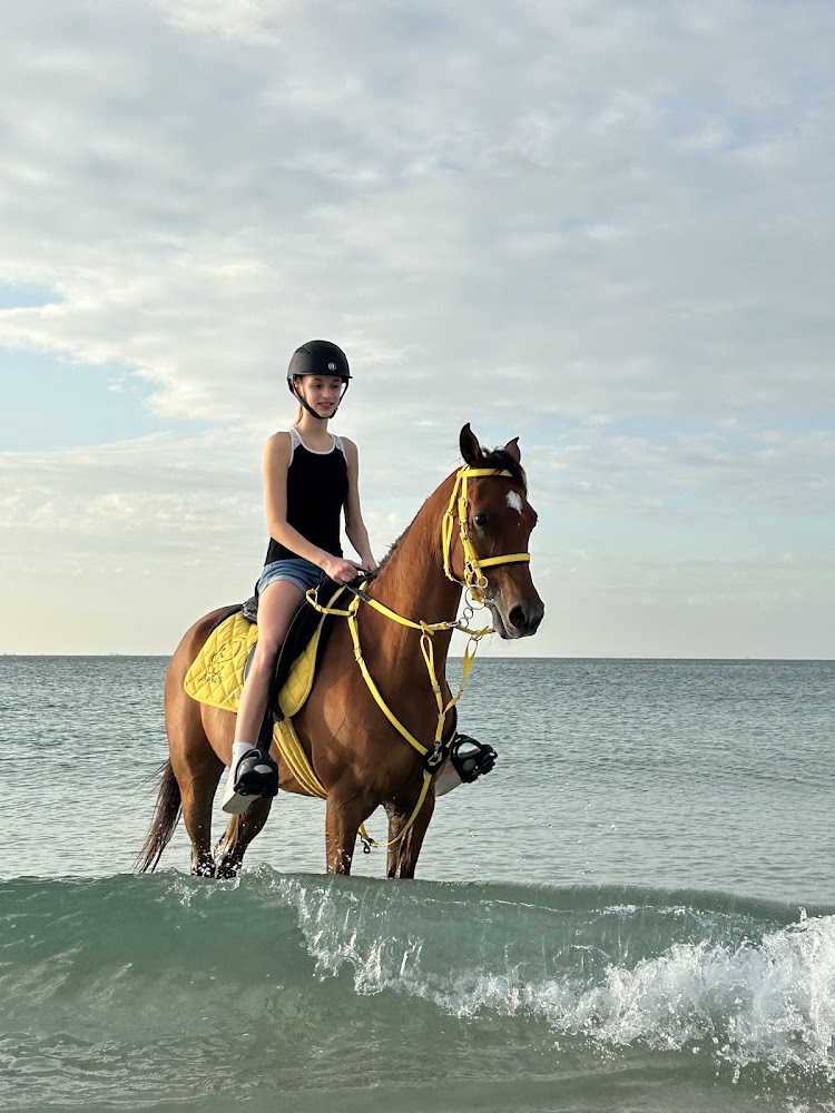 Aayan Equestrian Club photo 5