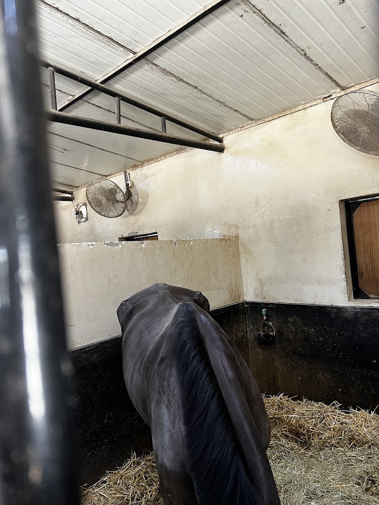 نادي الباهيه للفروسيه photo 4