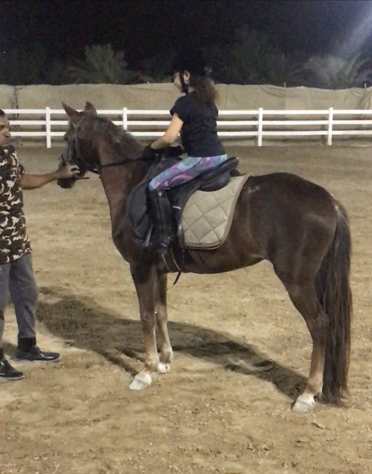 نادي الباهيه للفروسيه photo 5