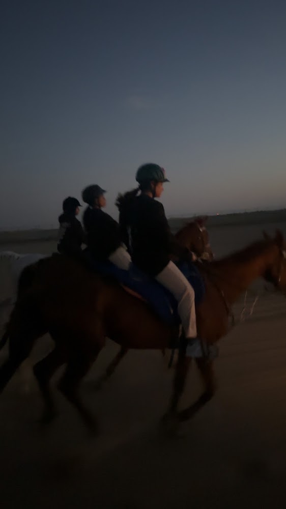 جمعية الواهو الإماراتي photo 2