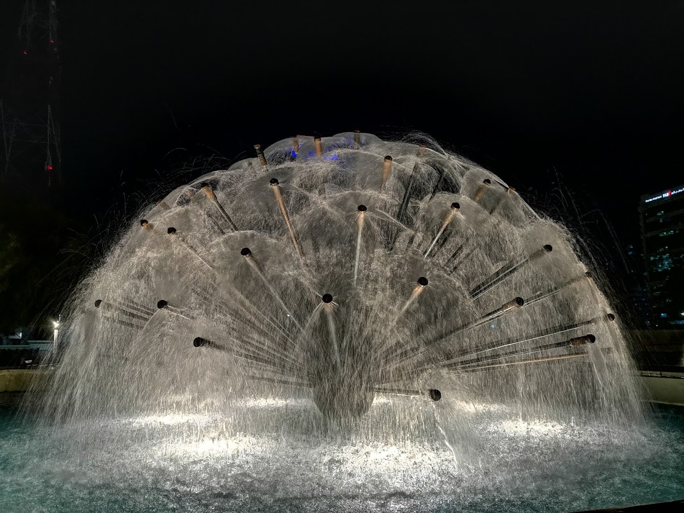 Abu Dhabi Baladiya park photo 4