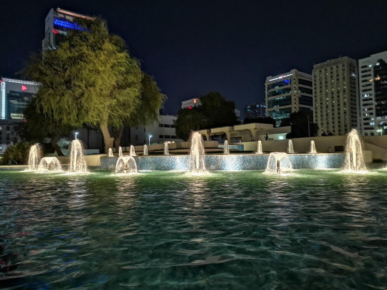 Abu Dhabi Baladiya park photo 5