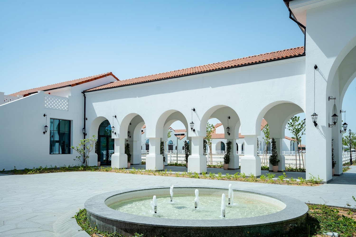 Abu Dhabi Equestrian Club photo 4