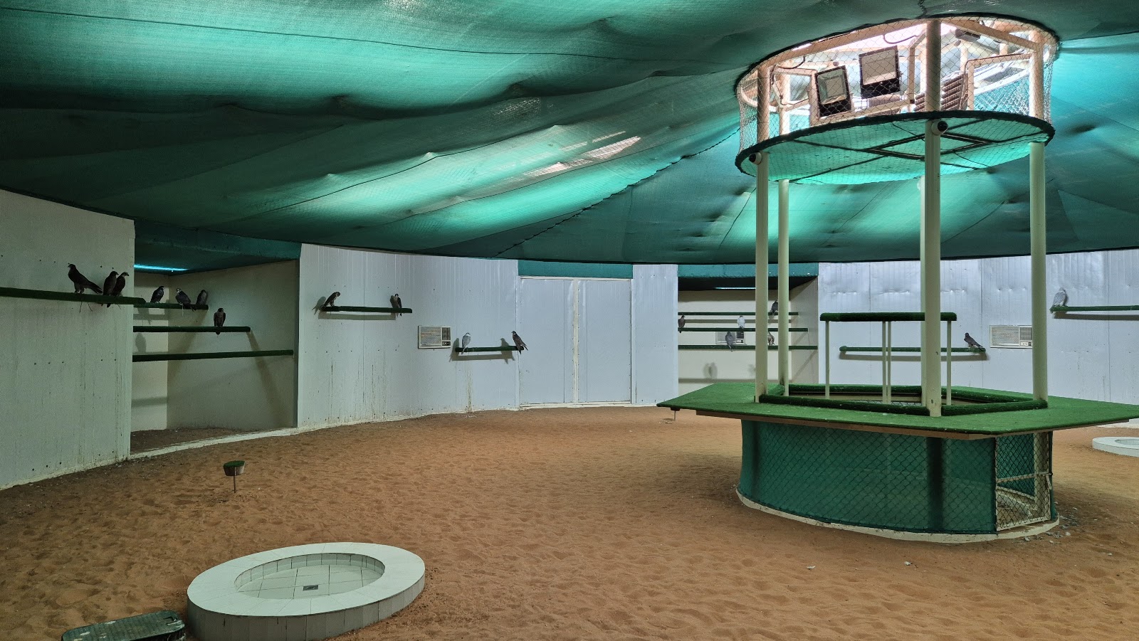 Abu Dhabi Falcon Hospital photo 3