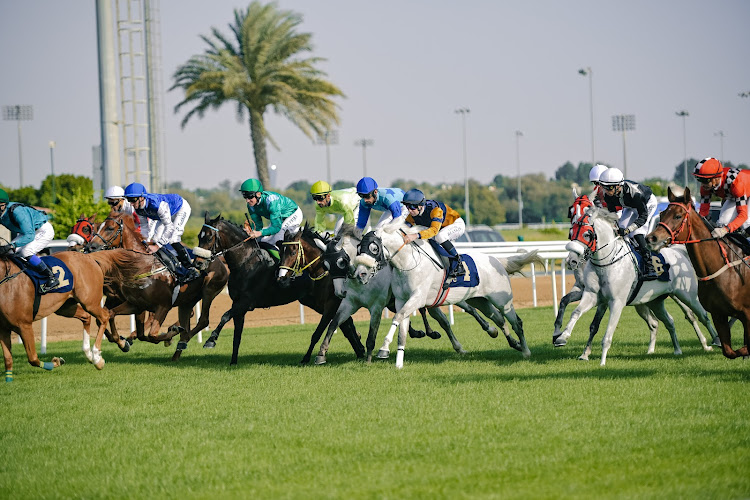 Abu Dhabi Turf Club