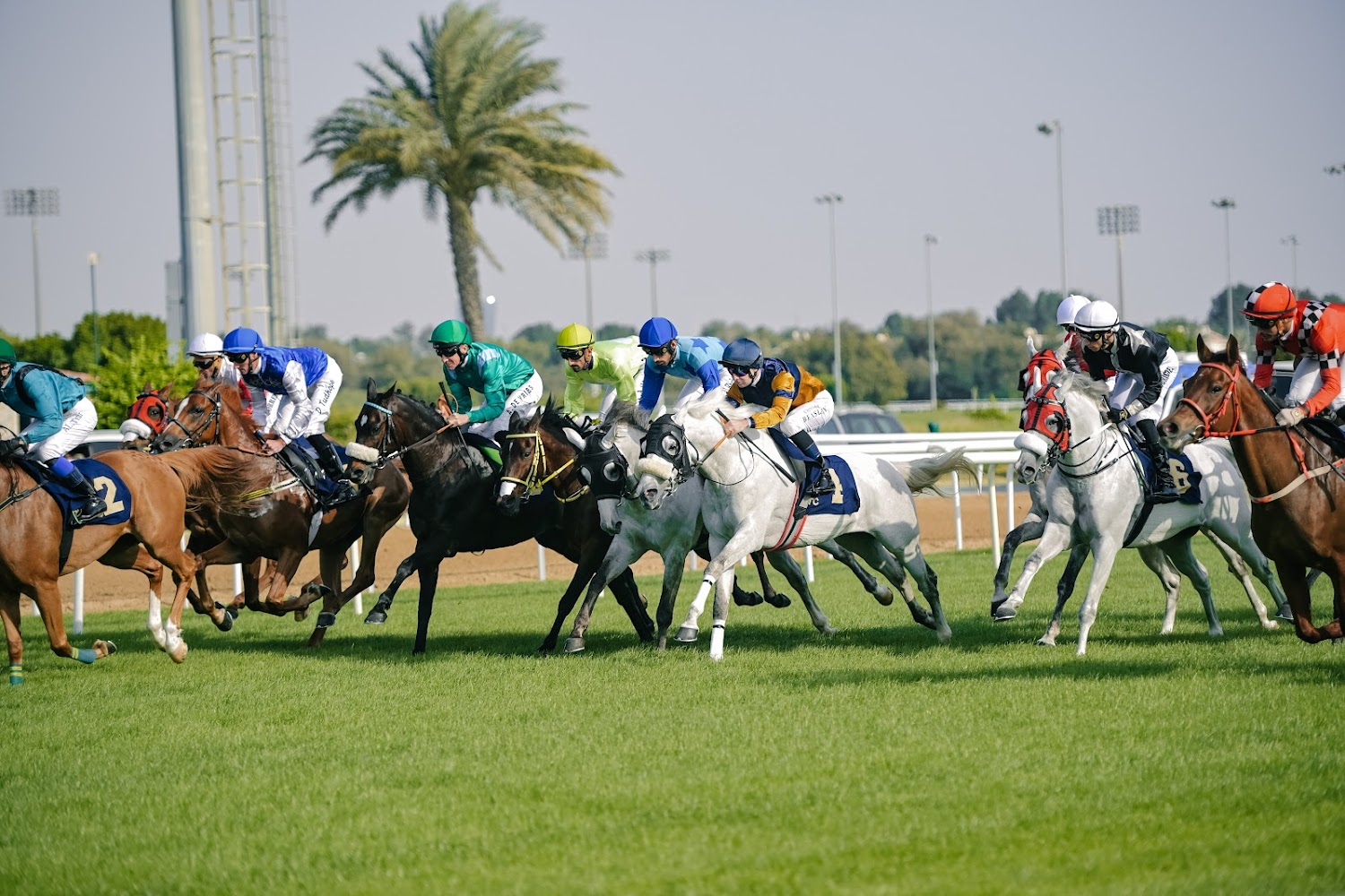 Abu Dhabi Turf Club photo 2