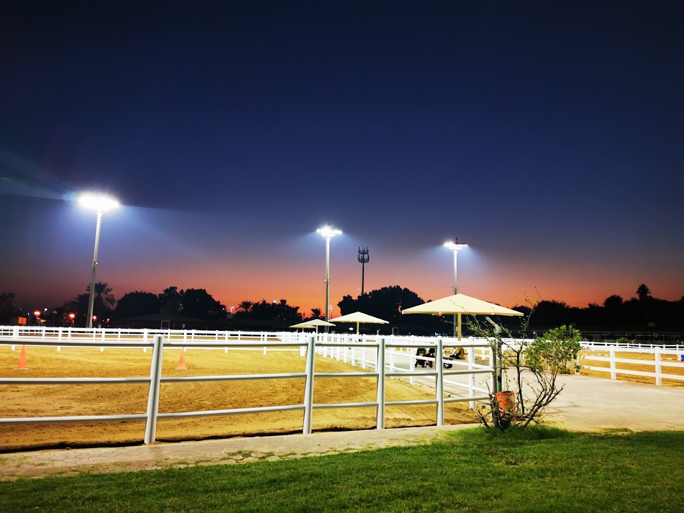 Abu Dhabi Turf Club photo 4