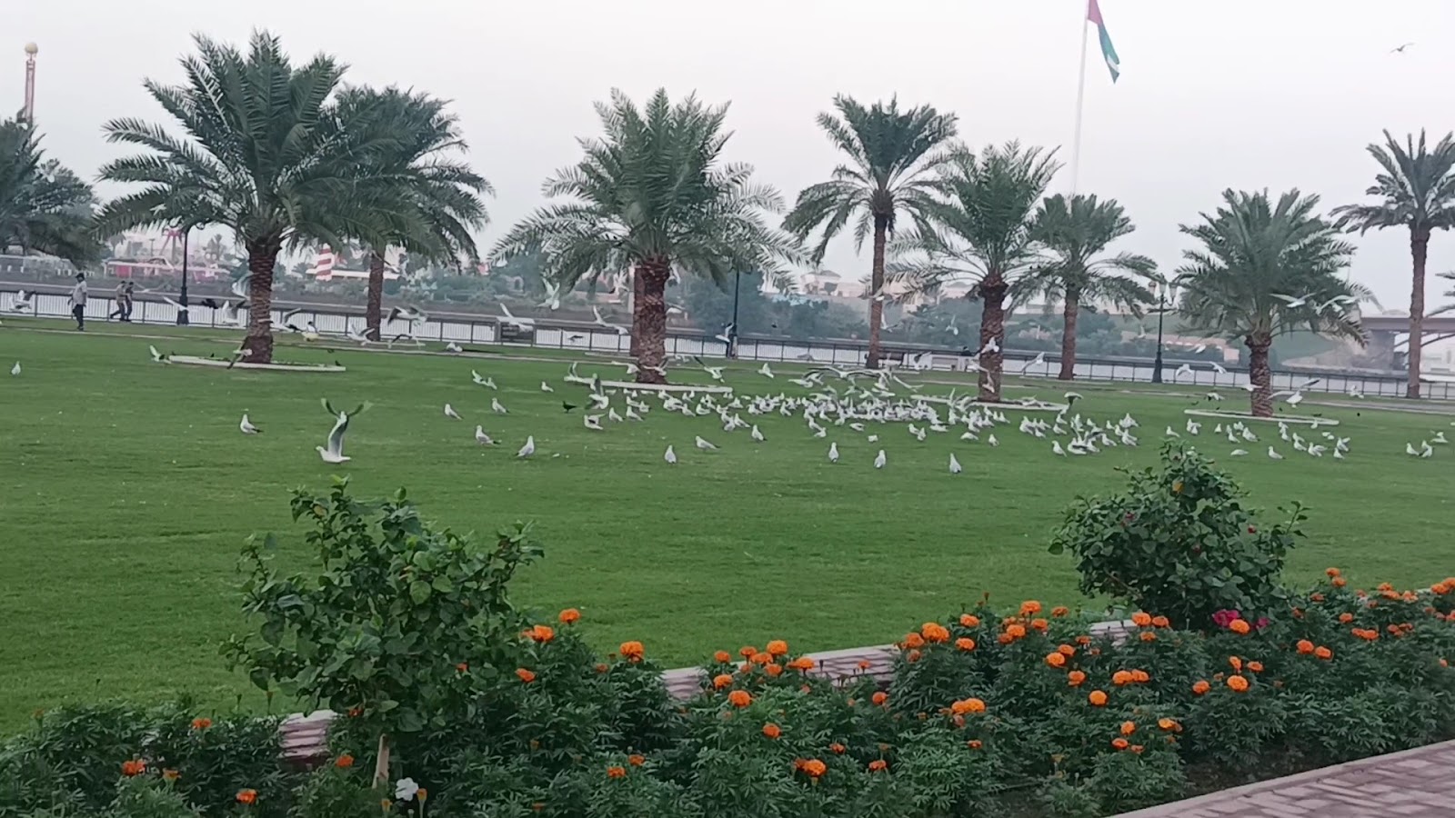 Abu Shagara Park photo 3