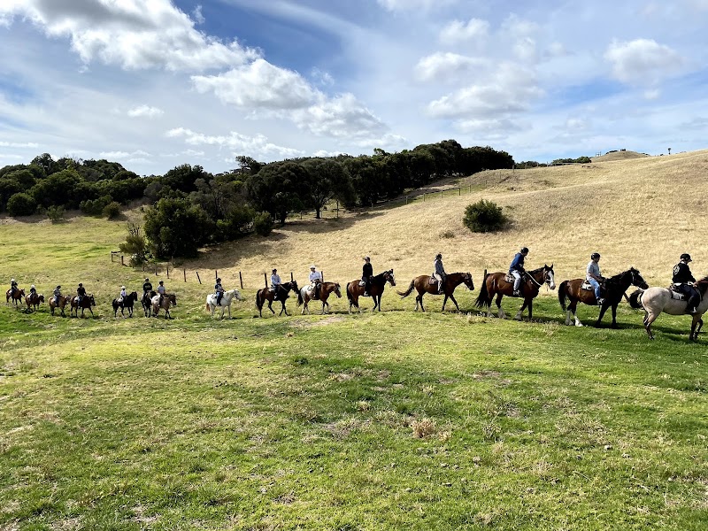 Ace-Hi Ranch photo 2