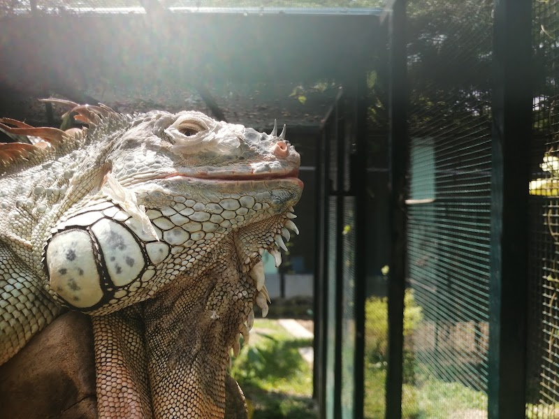 Photo of Acres Wildlife Rescue Centre in Central