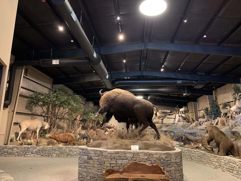 Action Wildlife Foundation photo 2