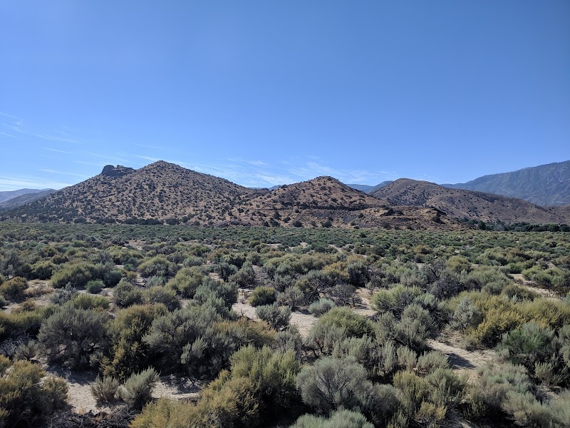Acton Wash Wildlife Sanctuary