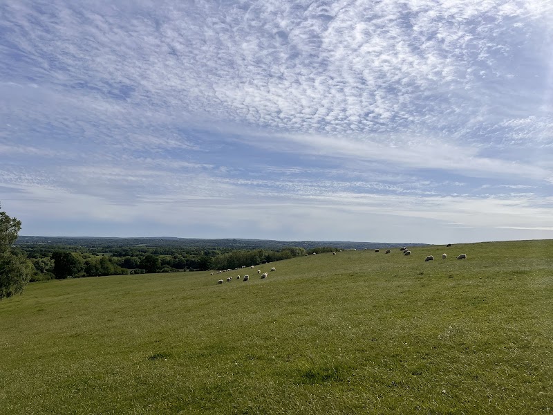Addiscombe Recreation Ground