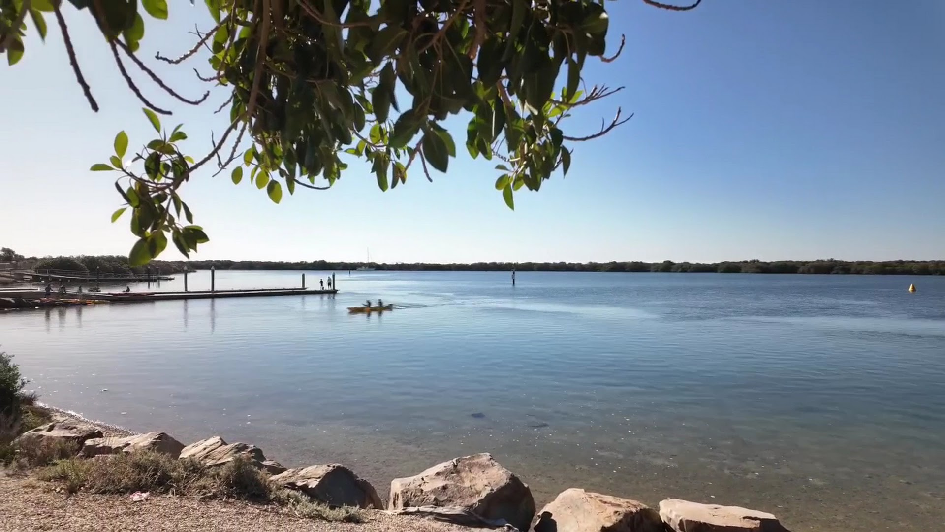 Adelaide Dolphin Sanctuary photo 3