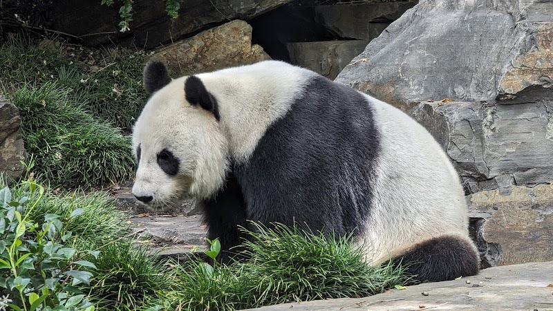 Adelaide Zoo