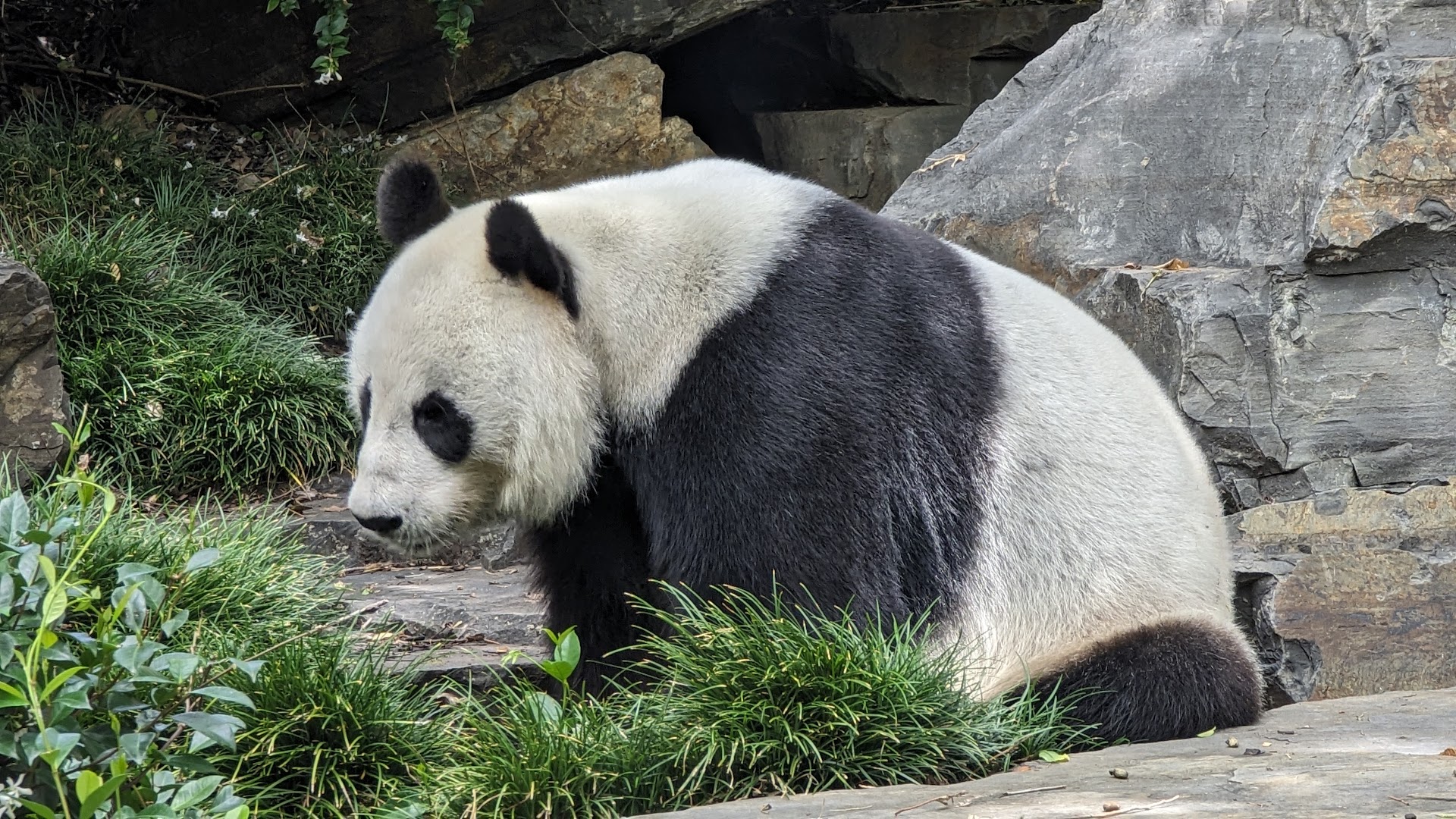 Adelaide Zoo