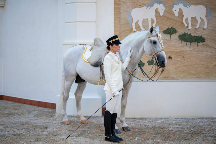 ADREA - Abu Dhabi Royal Equestrian Arts LLC - أبوظبي للفنون الفروسية الأميرية