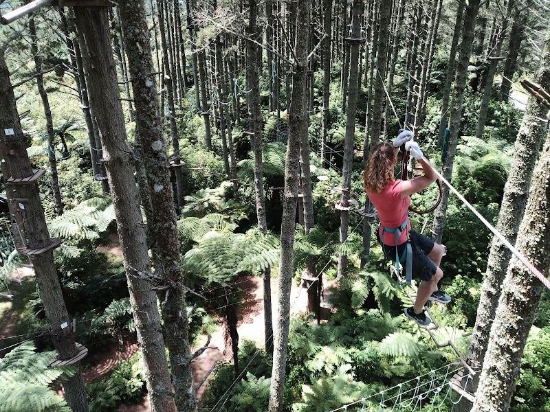 Adrenalin Forest Bay of Plenty photo 2