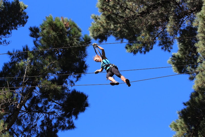 Adrenalin Forest Christchurch photo 2
