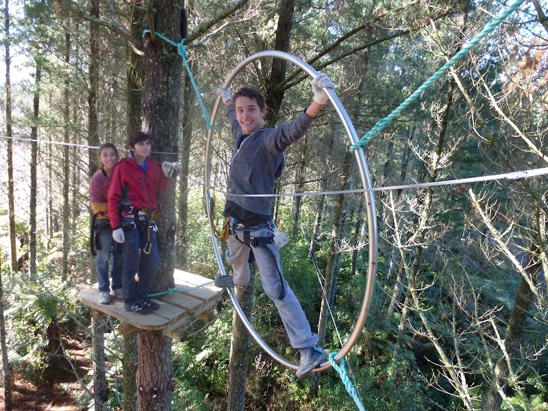 Adrenalin Forest Christchurch photo 3