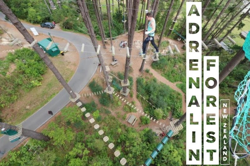 Adrenalin Forest Wellington