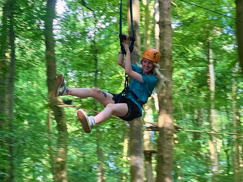 Adventure Bristol- Treetops