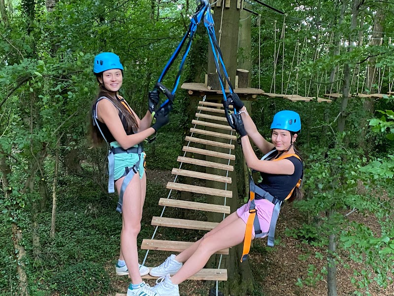 Adventure Bristol- Treetops photo 2