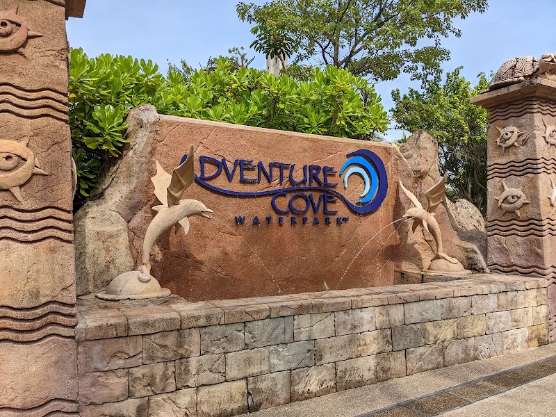 Adventure Cove Waterpark photo 2