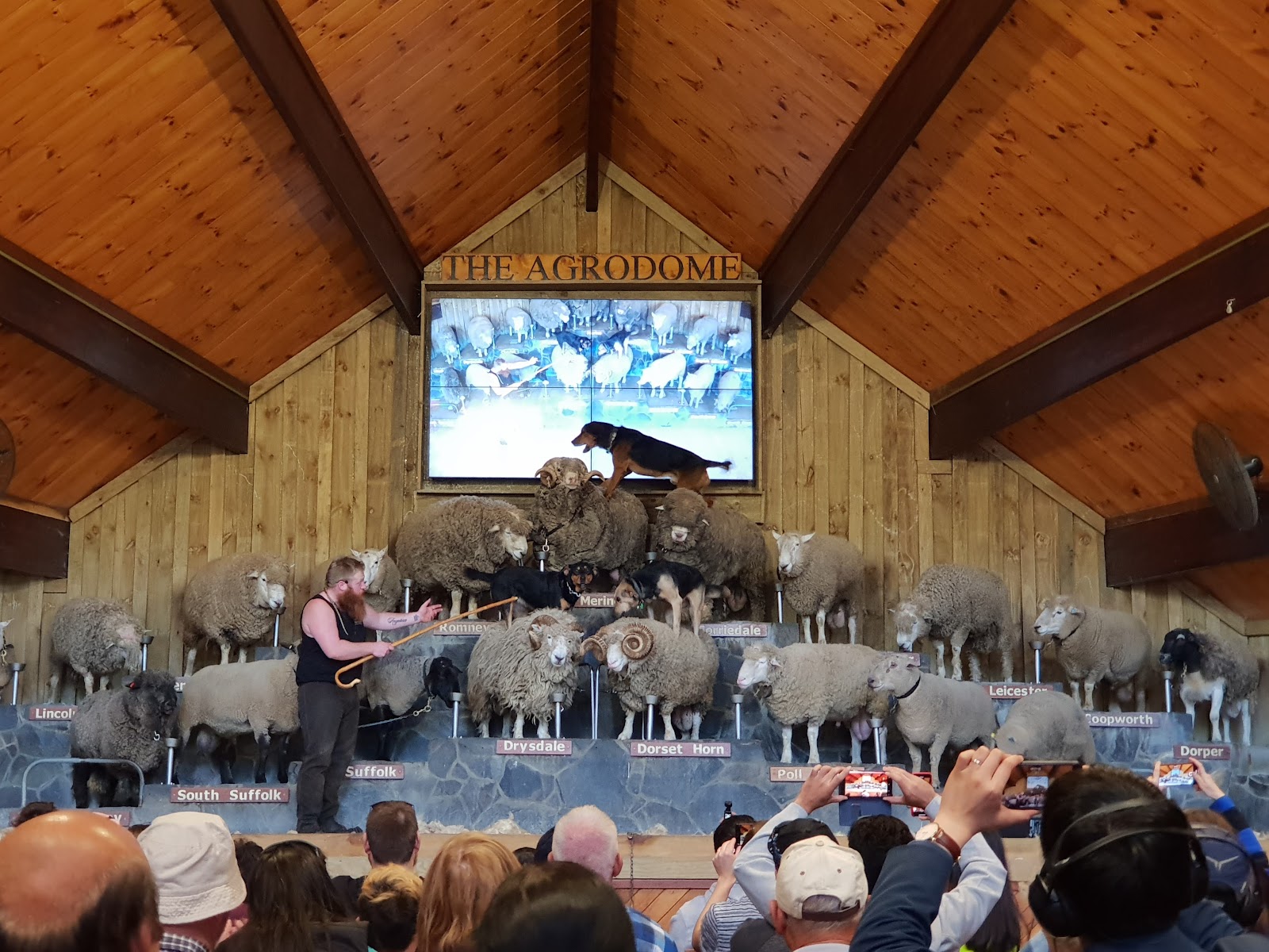 Agrodome photo 2