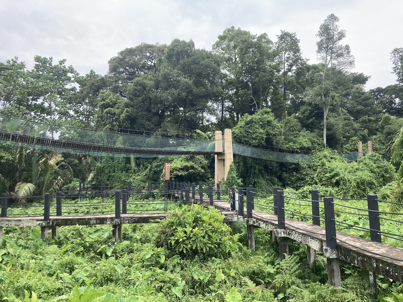 Air Hitam Dalam Educational Forest photo 2