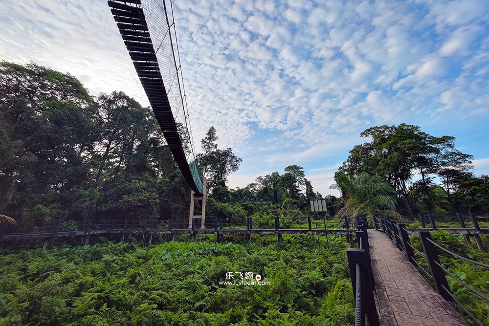 Air Hitam Dalam Educational Forest photo 3