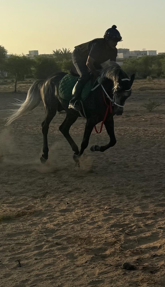 اسطبلات و نادي بن حيدر للفروسية photo 3