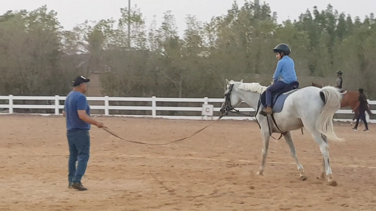 Ajman Equestrian Club photo 3