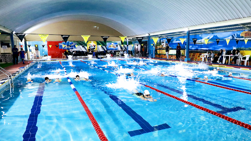 Ajman Society Swimming Academy