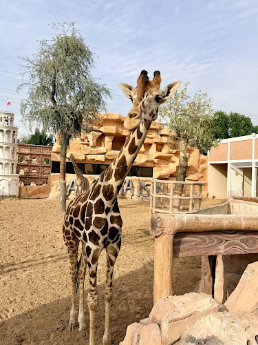 Al Buqaish Private Zoo