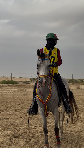 Al Buraq Equestrian Stables