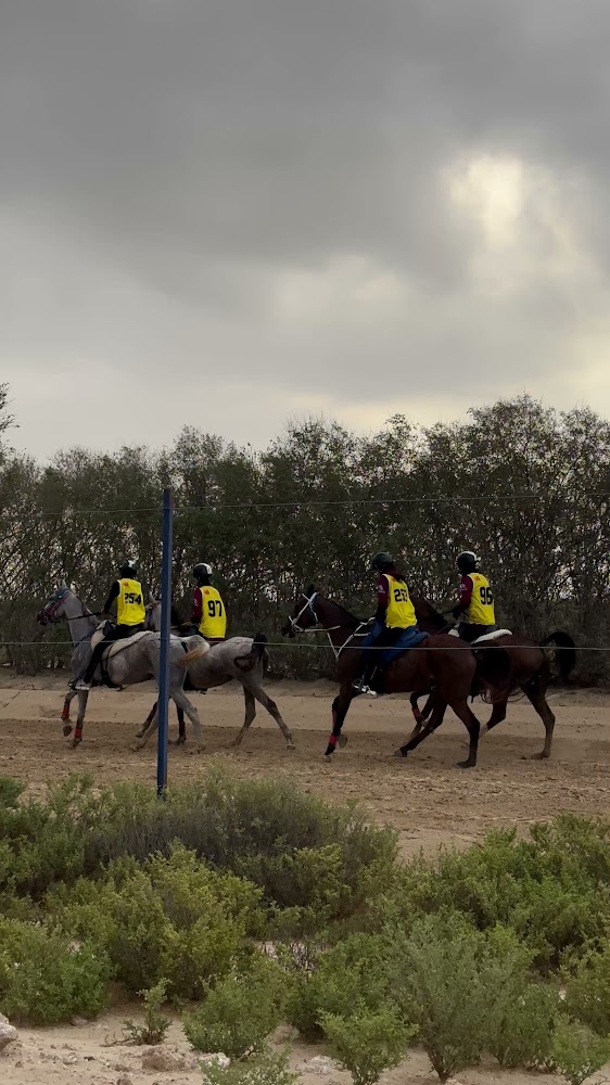 Al Buraq Equestrian Stables photo 3