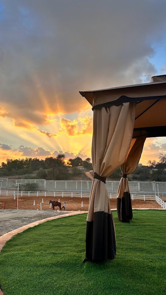 Al Buraq Equestrian Stables photo 5