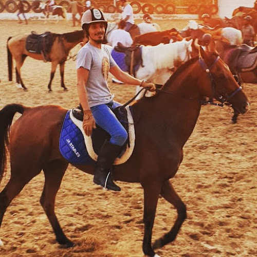 Al Dhabi Horse Riding