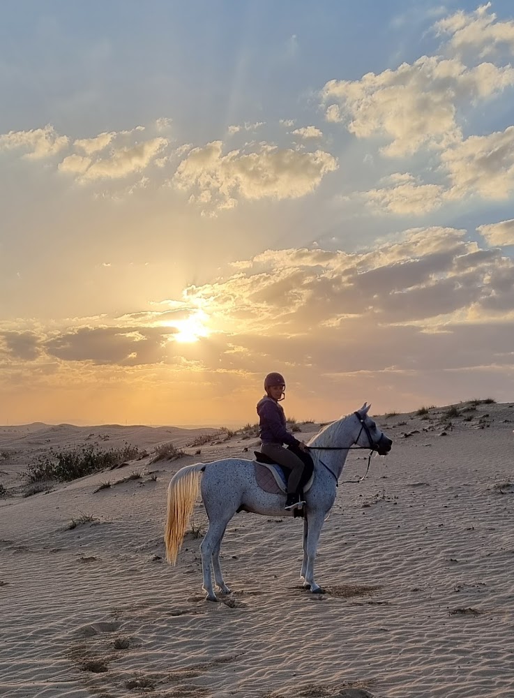 Al Dhabi Horse Riding photo 2