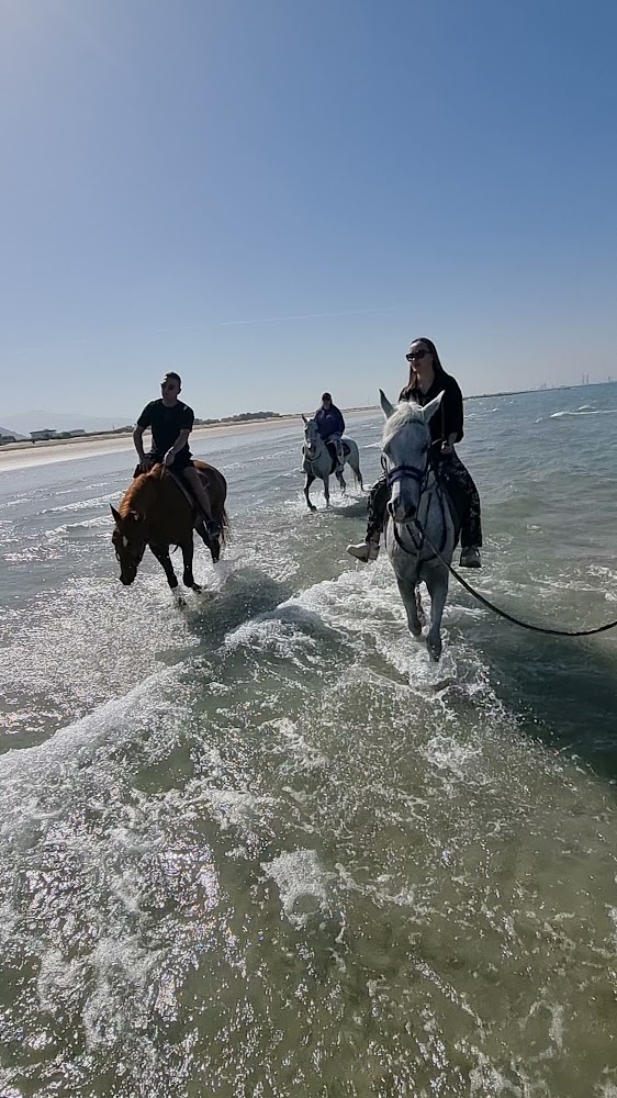 Al Dhabi Horse Riding photo 3