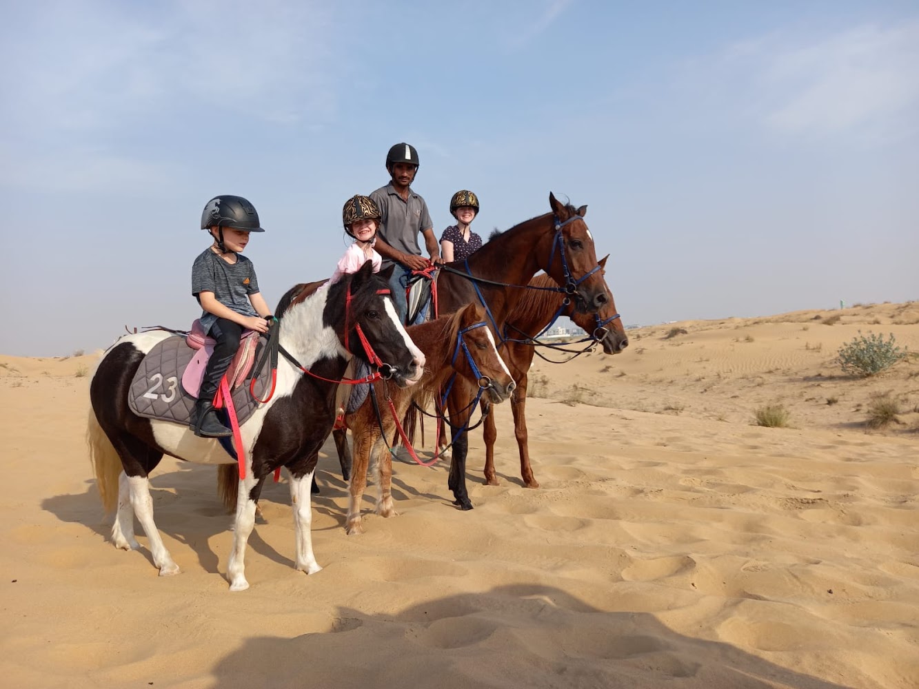Al Dhabi Horse Riding photo 5