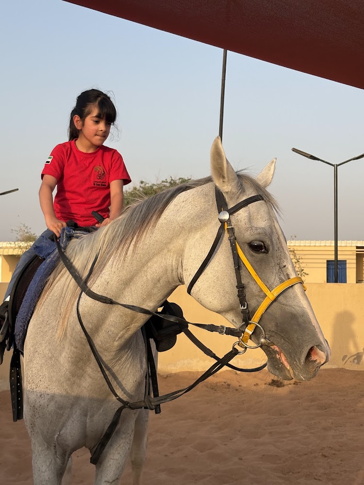 Al Easa stable photo 2