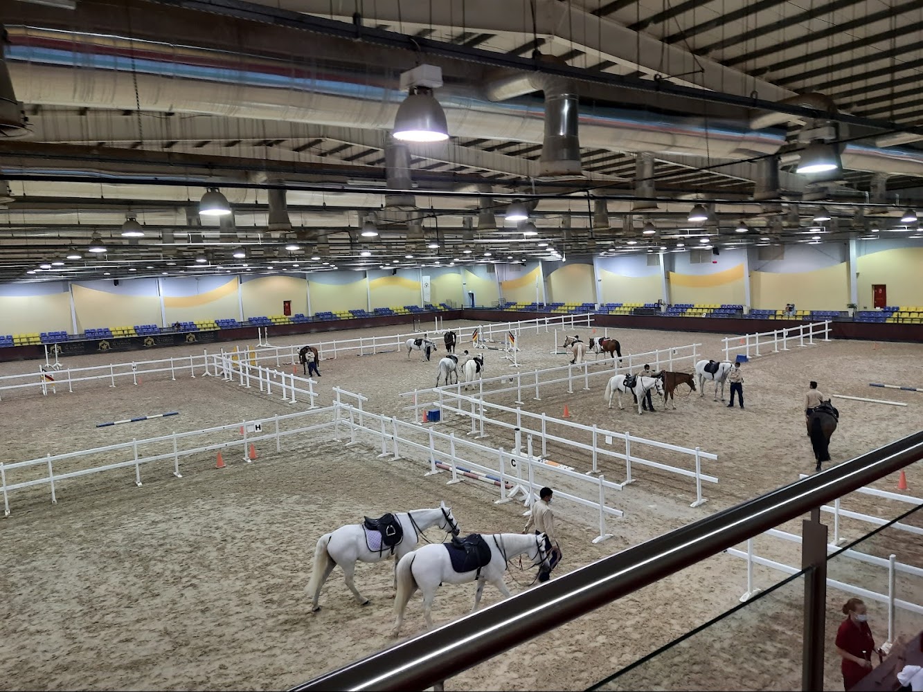 Al Forsan Equestrian Centre photo 2
