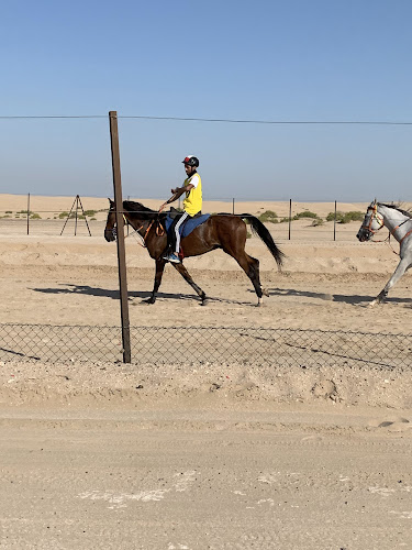 Al Huboob Stables اسطبلات الهبوب