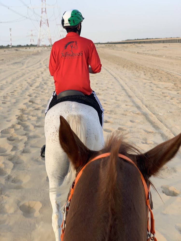 Al Huboob Stables اسطبلات الهبوب photo 3