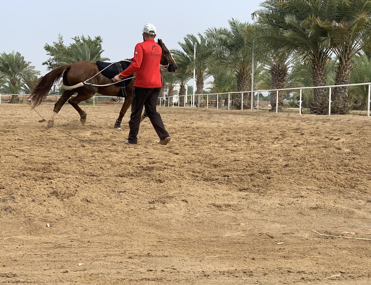 Al Huboob Stables اسطبلات الهبوب photo 5